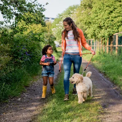A Mother and Daughter Walk Their Labradoodle on a Country Road.