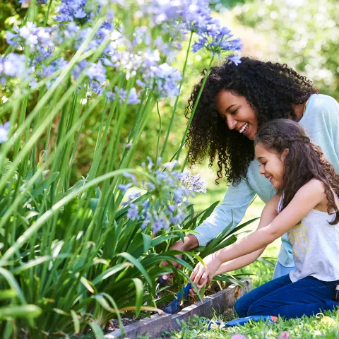 A Mother and Her Daughter Garden on a Bright Sunny Summer Day