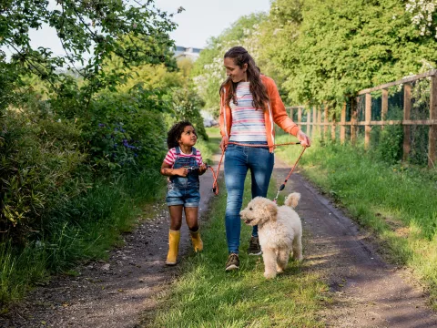 A Mother and Daughter Walk Their Labradoodle on a Country Road.