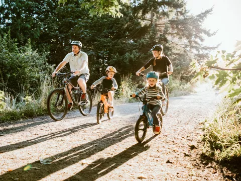 A Family Goes for a Bicycle Ride Through a Park on a Sunny Morning