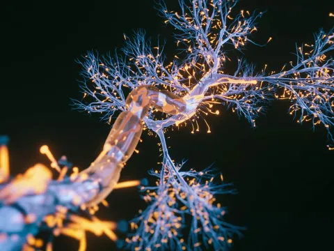 Neure signals in the brain.