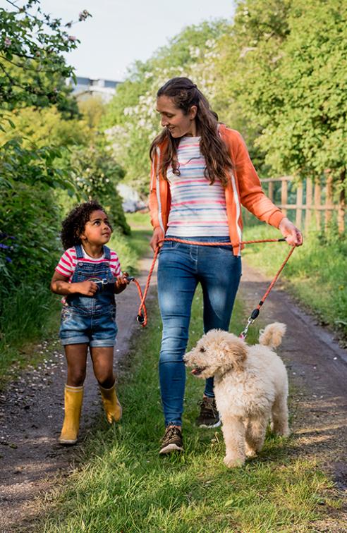 A Mother and Daughter Walk Their Labradoodle on a Country Road.
