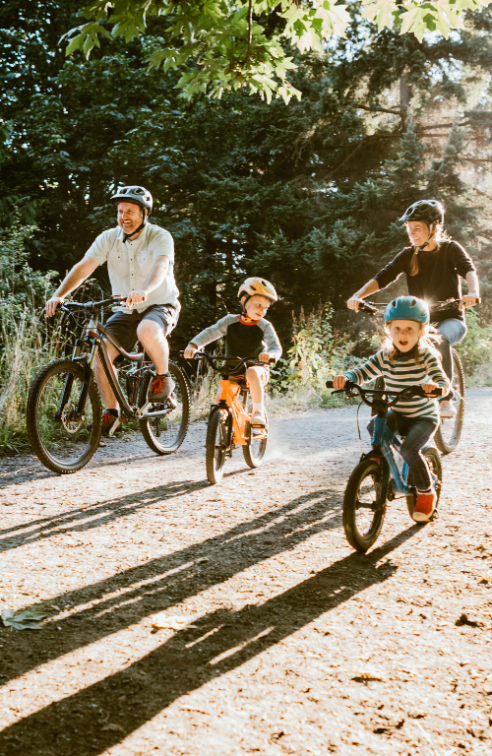 A Family Goes for a Bicycle Ride Through a Park on a Sunny Morning